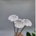 Пръчки за балони ECO FRIENDLY, 10 бр, 42 см